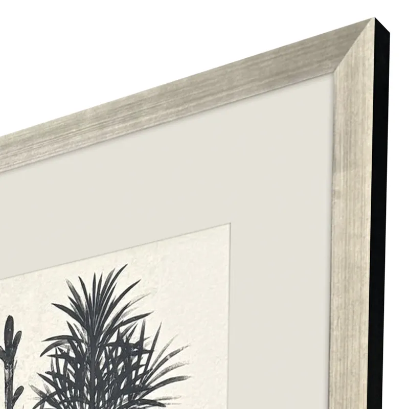 Forest Vista II Framed Art