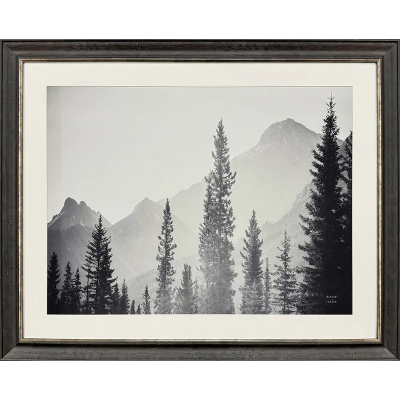 Kanaskis Country Framed Art