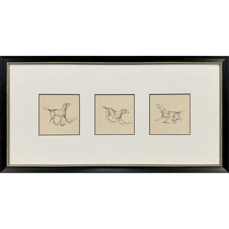 French Pointer Series Framed Art