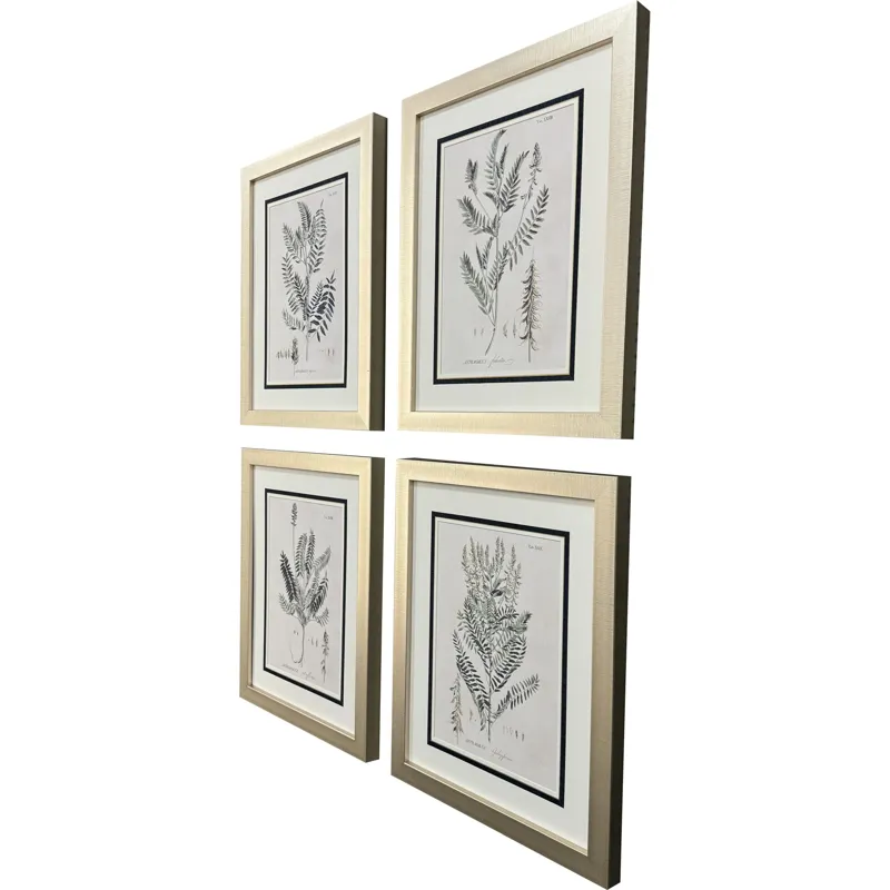 Astragalorum S/4 Framed Art