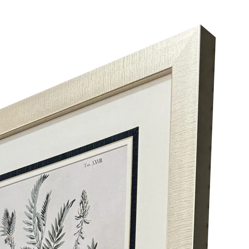 Astragalorum S/4 Framed Art