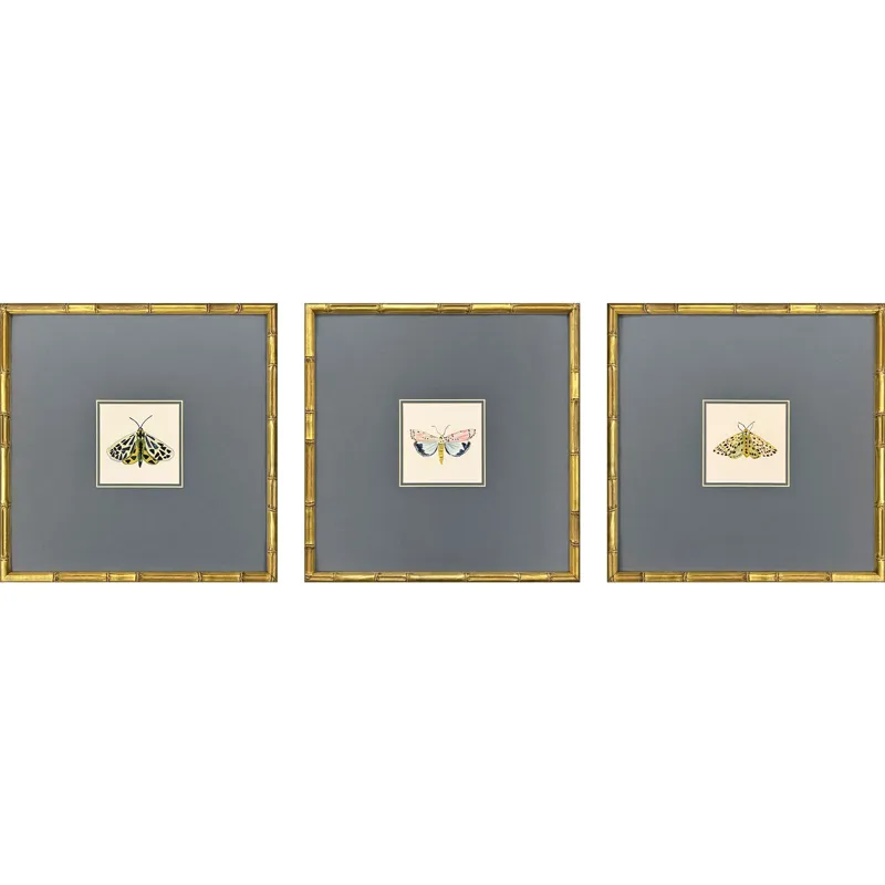 Pastel Moths I S/3 Framed Art