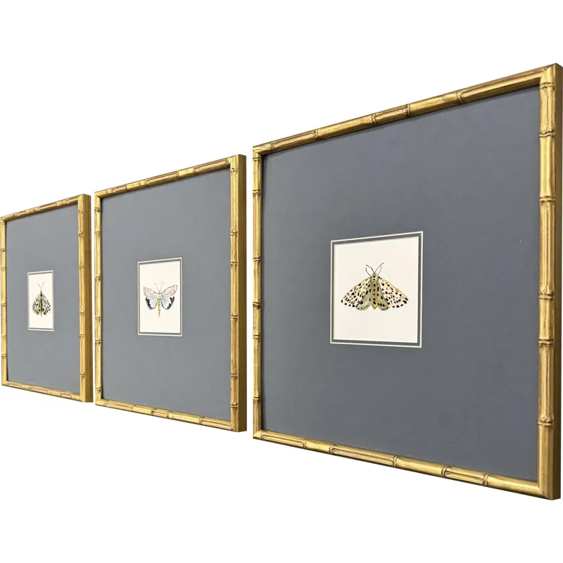 Pastel Moths I S/3 Framed Art