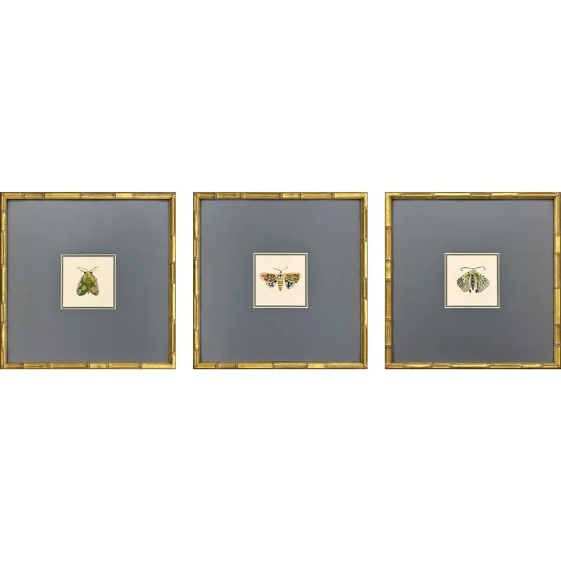 Pastel Moths II S/3 Framed Art
