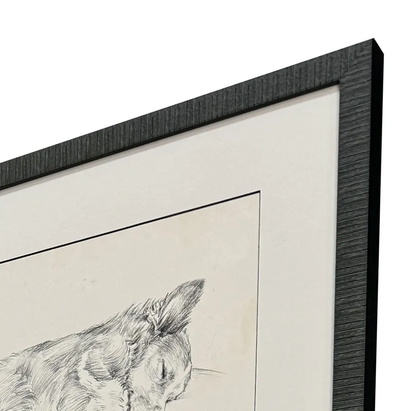 Antique Dog Sketch S/4 Framed Art
