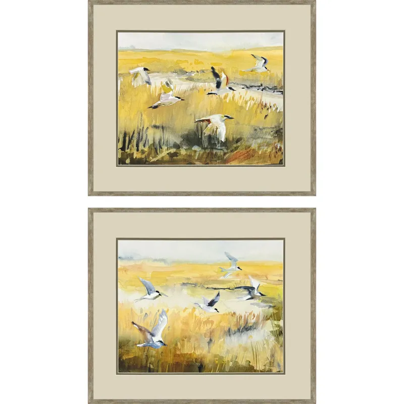 Terns on Marsh S/2 Framed Art