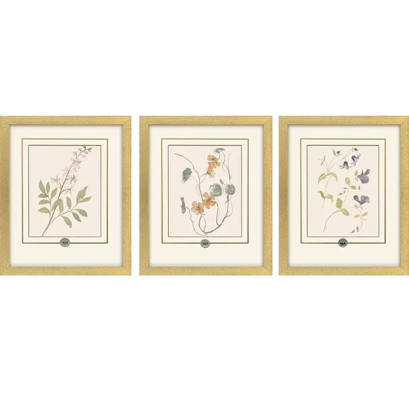 Garden Study I S/3 Framed Art