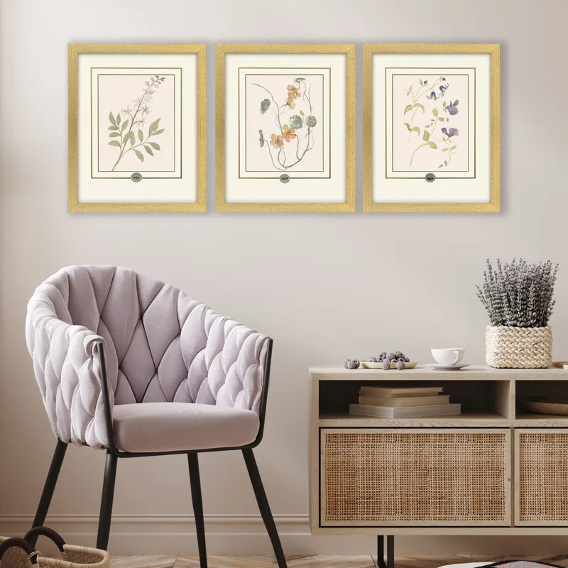 Garden Study I S/3 Framed Art