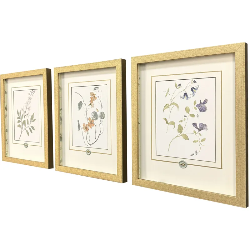 Garden Study I S/3 Framed Art