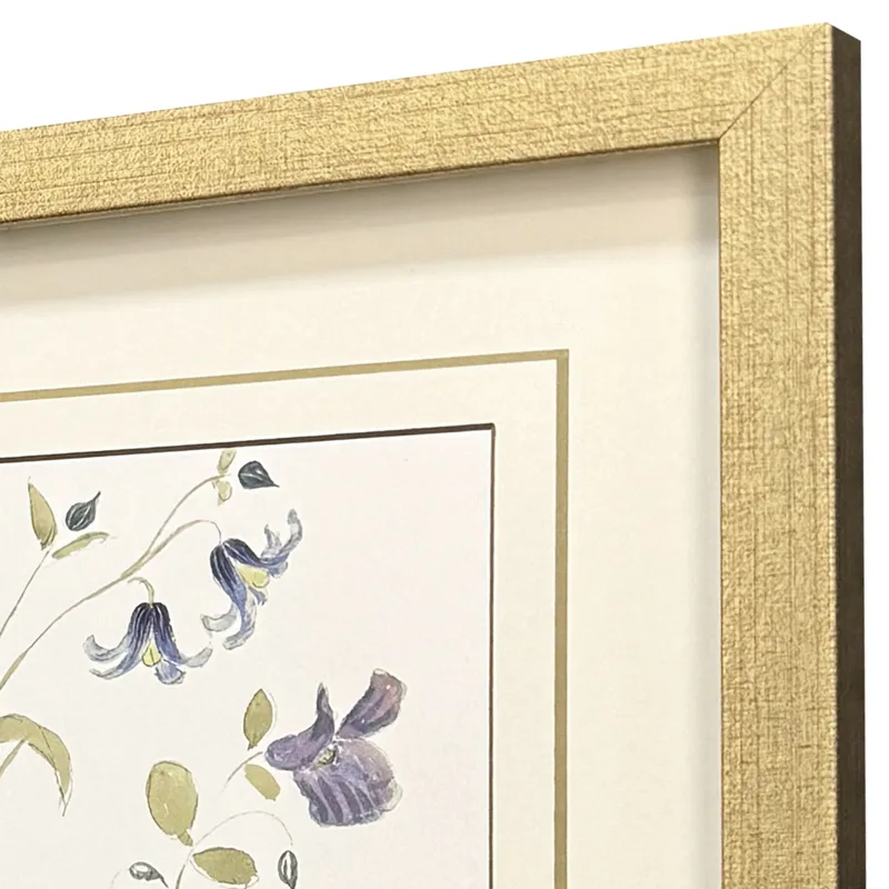 Garden Study I S/3 Framed Art