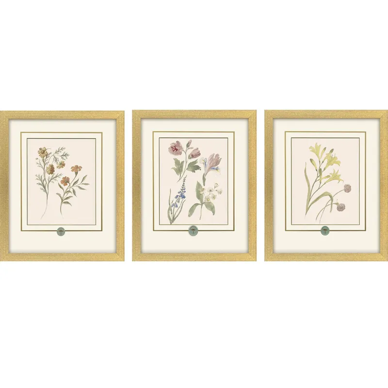 Garden Study II S/3 Framed Art