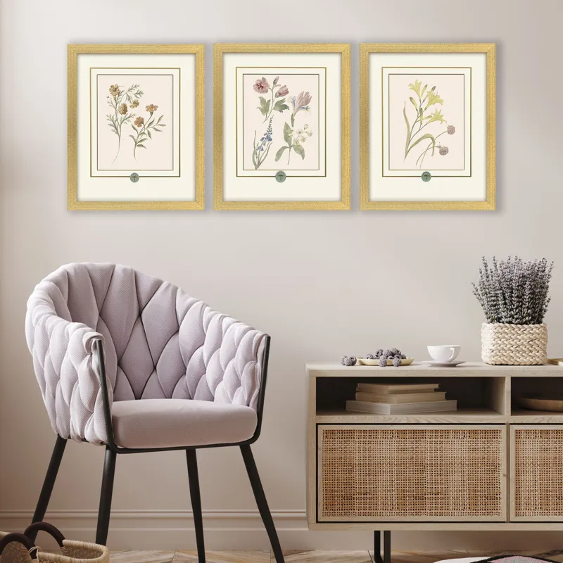 Garden Study II S/3 Framed Art