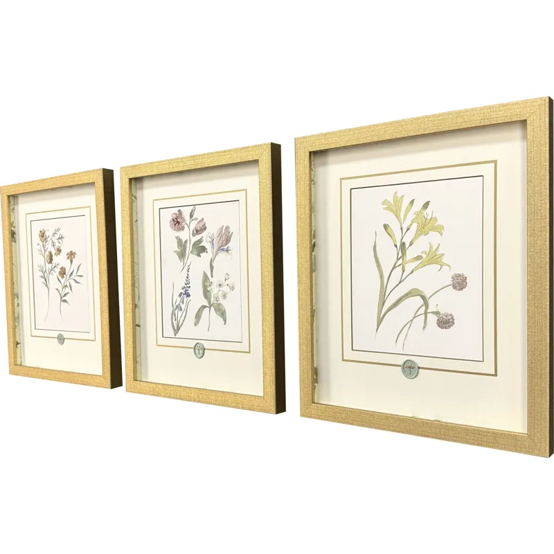 Garden Study II S/3 Framed Art