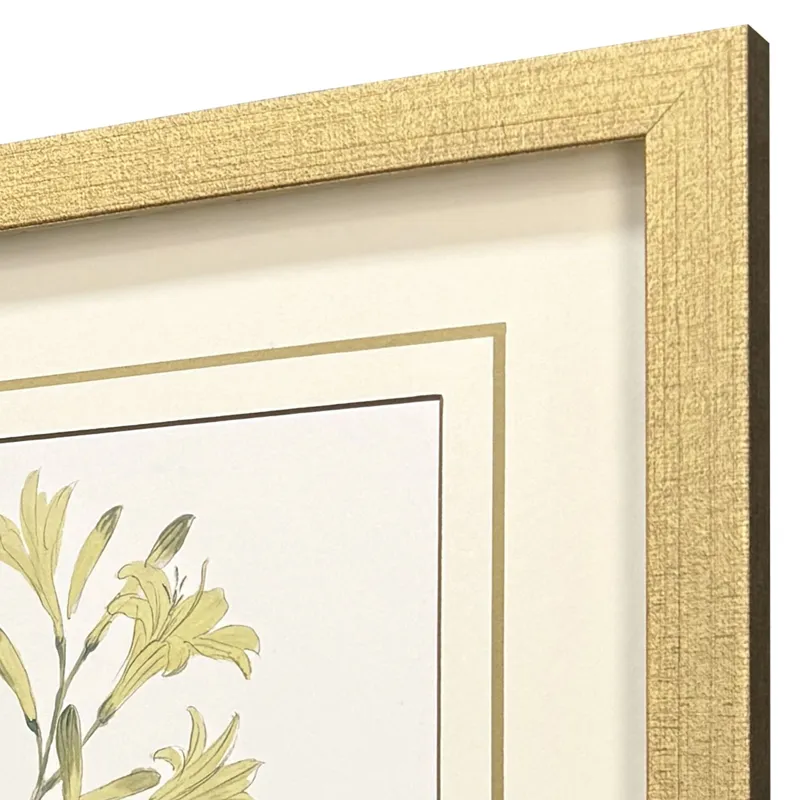 Garden Study II S/3 Framed Art