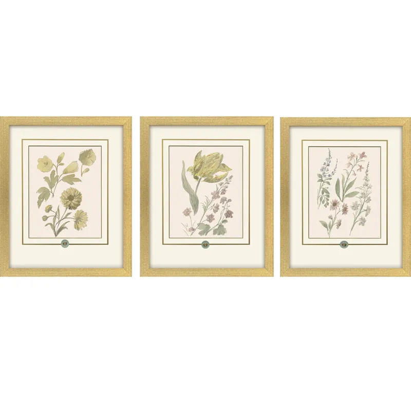 Garden Study III S/3 Framed Art