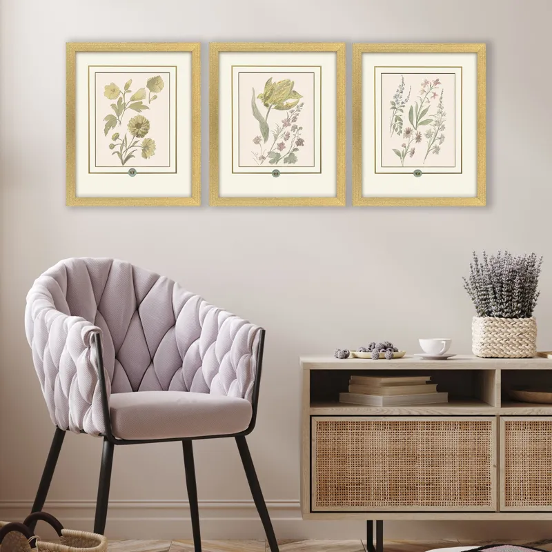 Garden Study III S/3 Framed Art