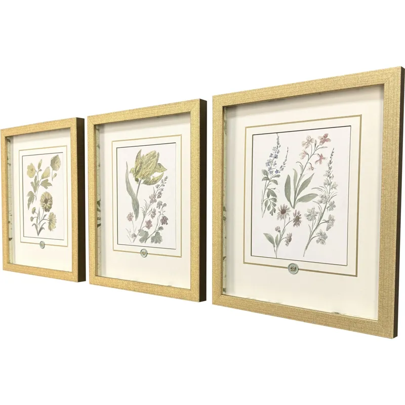 Garden Study III S/3 Framed Art