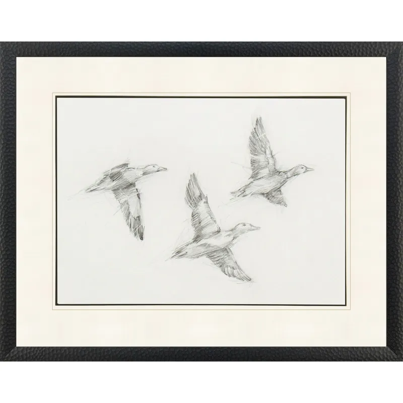 Mallard Duck Sketch I Framed Art