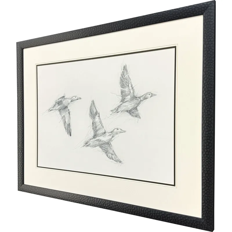 Mallard Duck Sketch I Framed Art