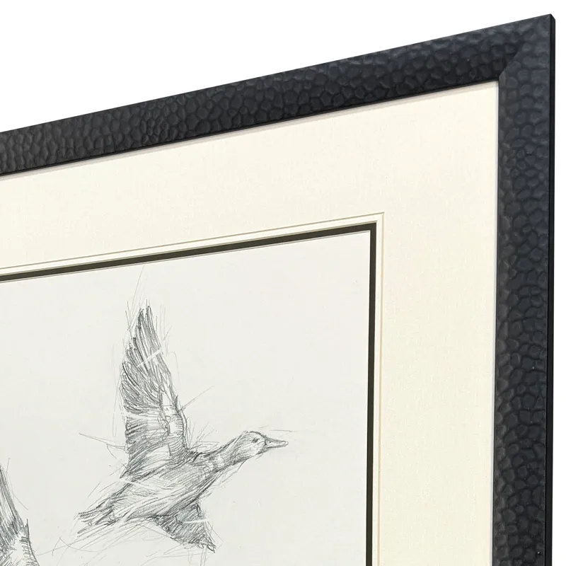 Mallard Duck Sketch I Framed Art