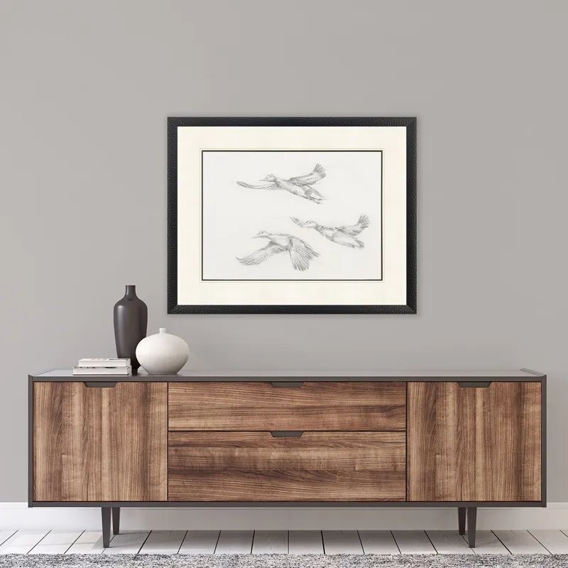 Mallard Duck Sketch II Framed Art
