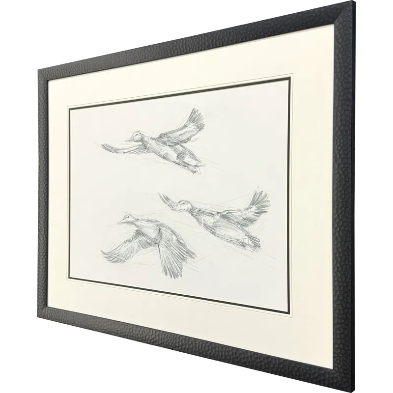 Mallard Duck Sketch II Framed Art