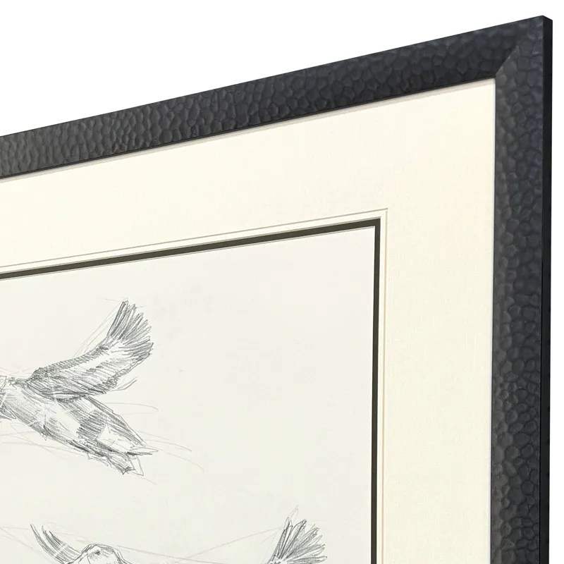 Mallard Duck Sketch II Framed Art