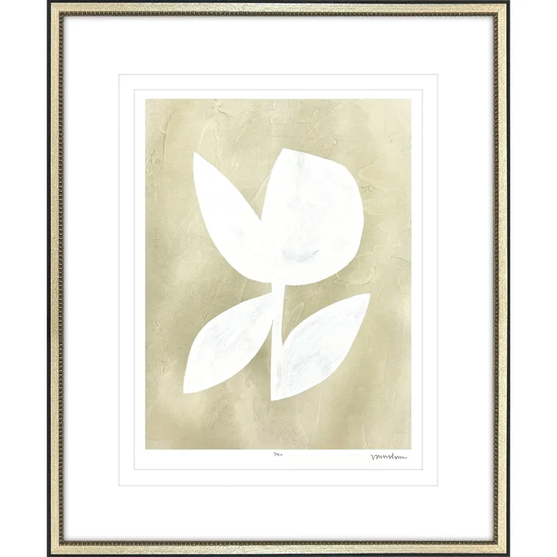 Textured Corolla IV Framed Art