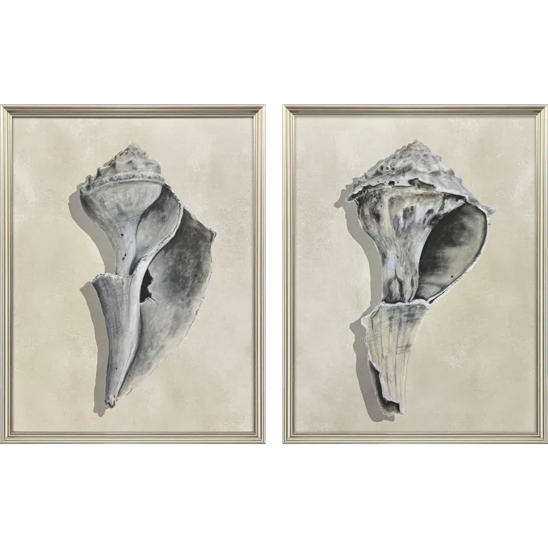 Broken Shells I S/2 Framed Art
