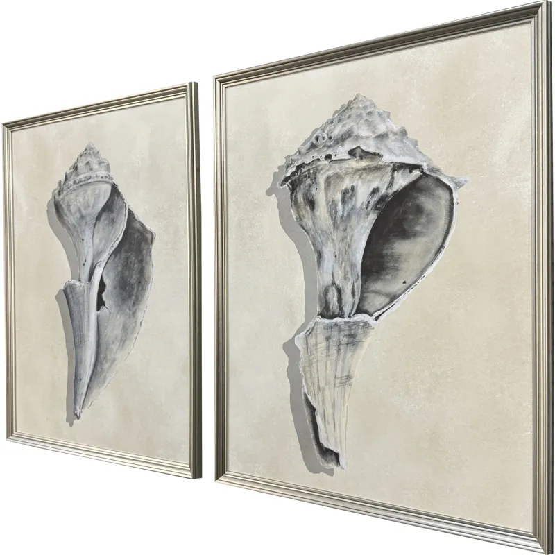Broken Shells I S/2 Framed Art