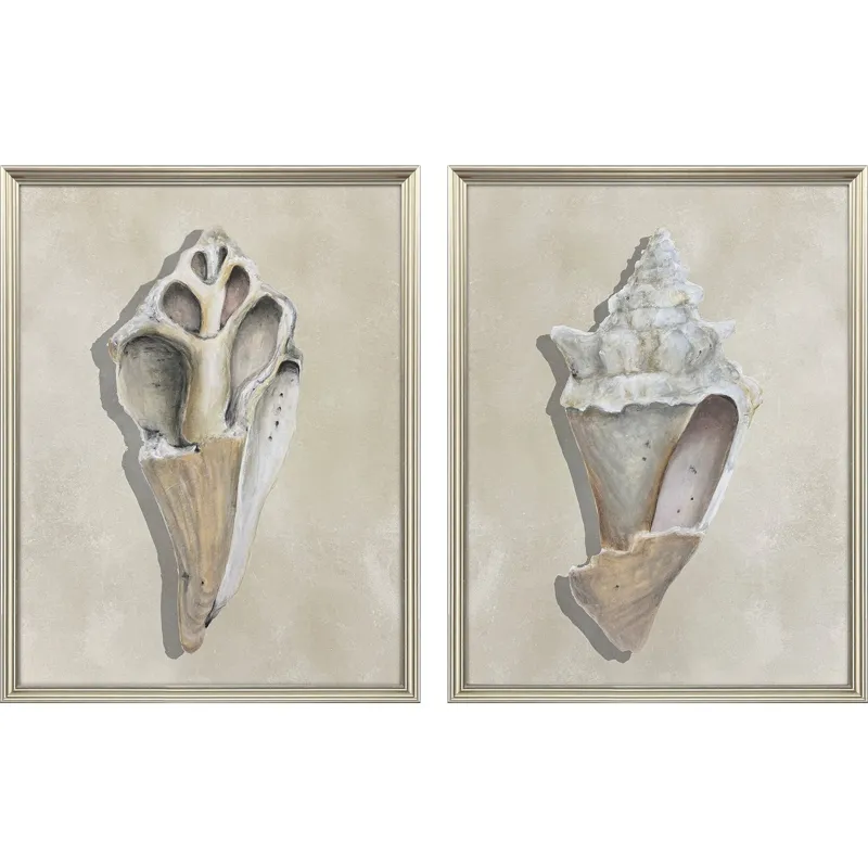 Broken Shells II S/2 Framed Art