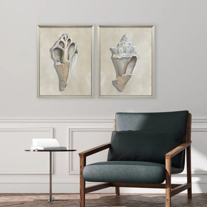 Broken Shells II S/2 Framed Art