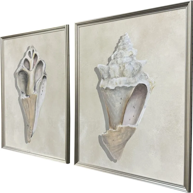 Broken Shells II S/2 Framed Art