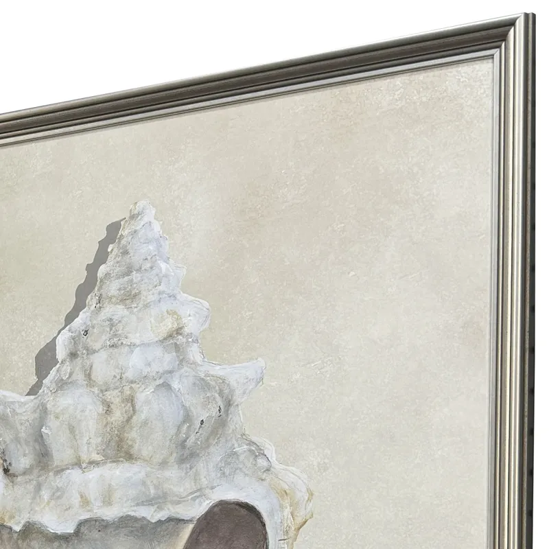 Broken Shells II S/2 Framed Art