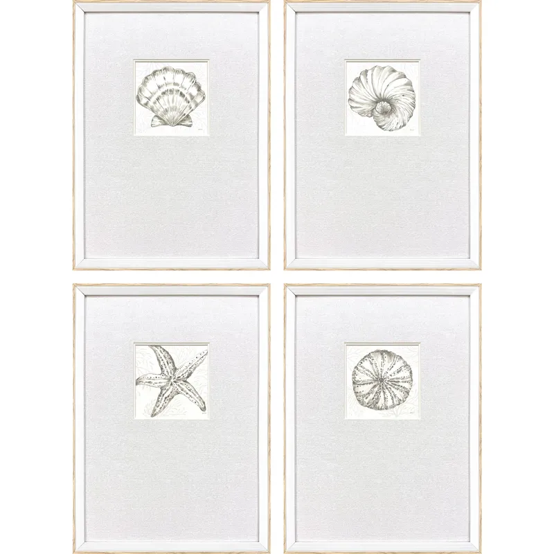 Coastal Reef S/4 Framed Art