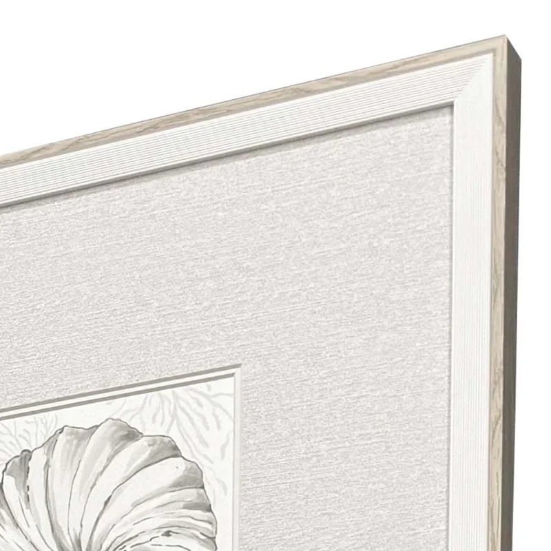 Coastal Reef S/4 Framed Art