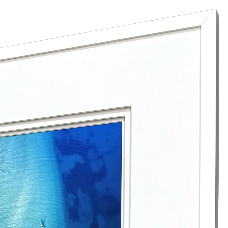 Nature From Above S/4 Framed Art