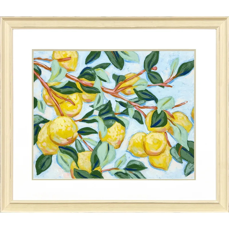 Sunshine Citrus I Framed Art