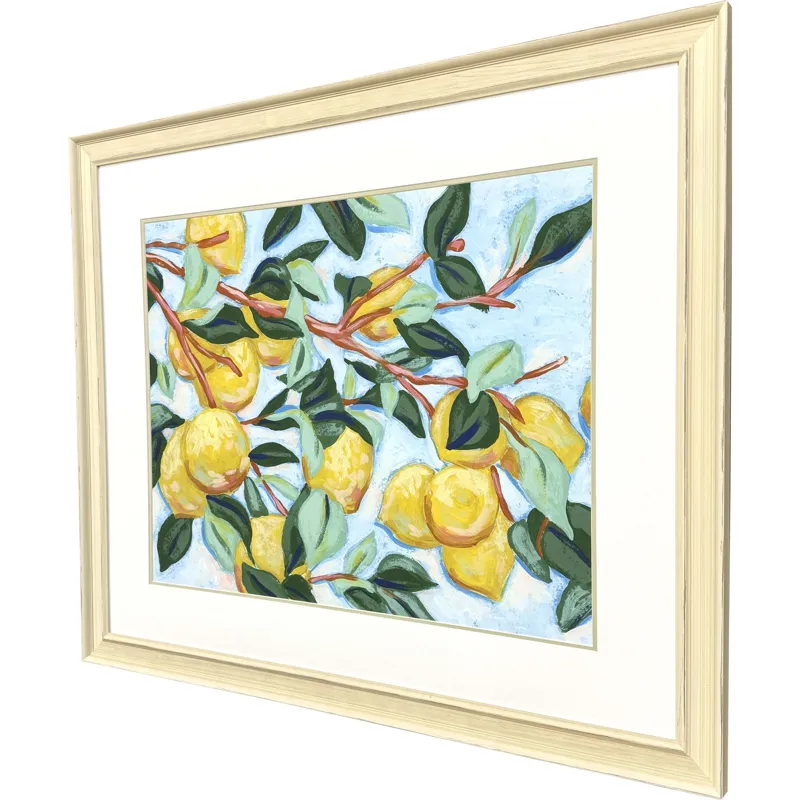 Sunshine Citrus I Framed Art