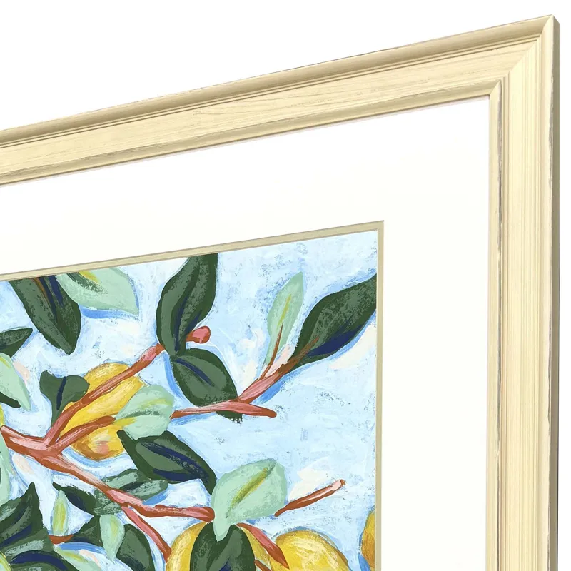 Sunshine Citrus I Framed Art