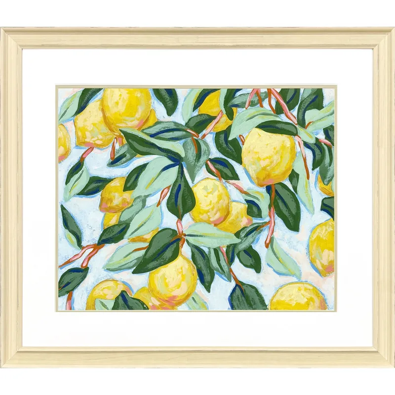 Sunshine Citrus II Framed Art
