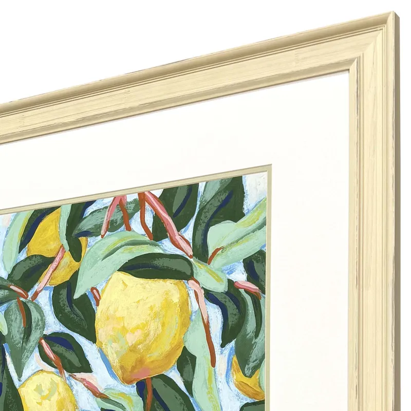 Sunshine Citrus II Framed Art