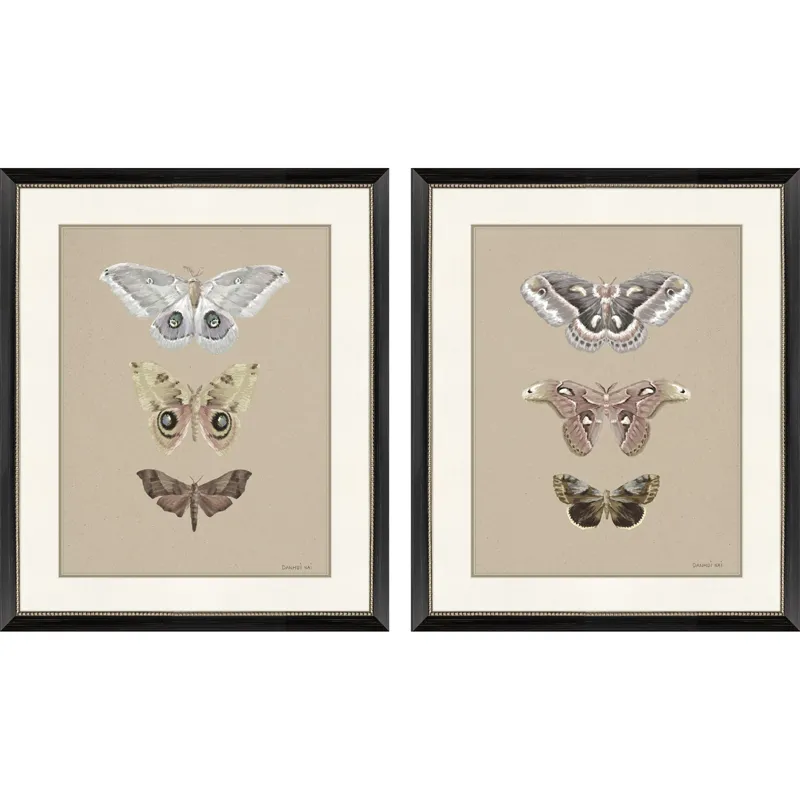 Beauty of the Forest S/2 Framed Art