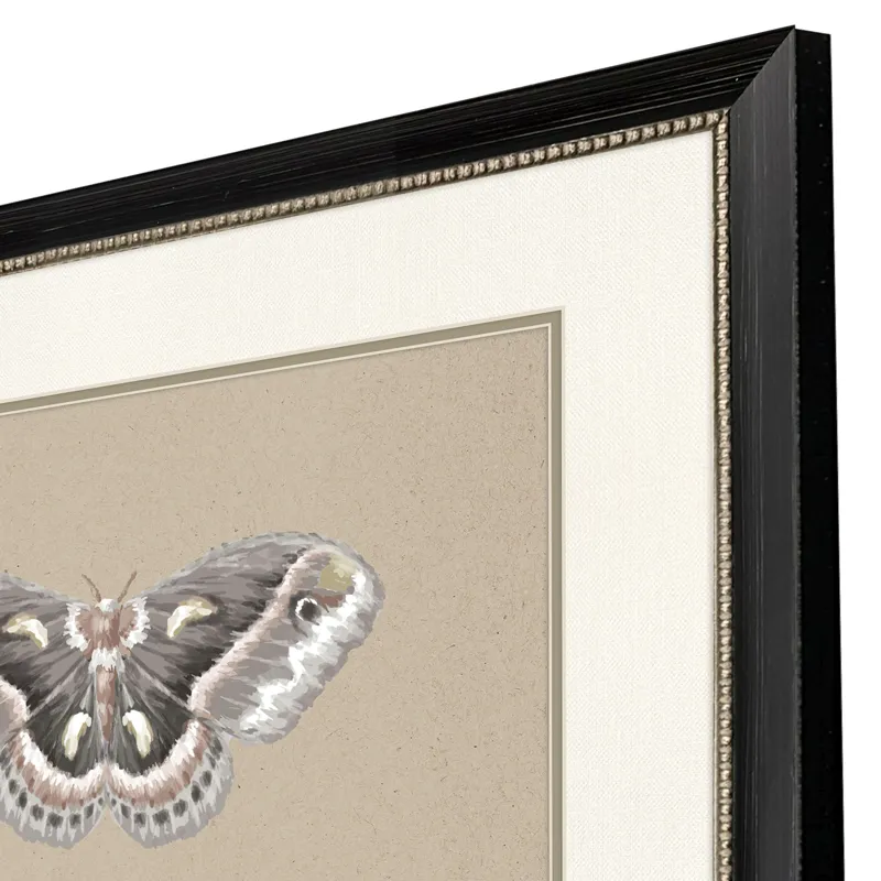 Beauty of the Forest S/2 Framed Art