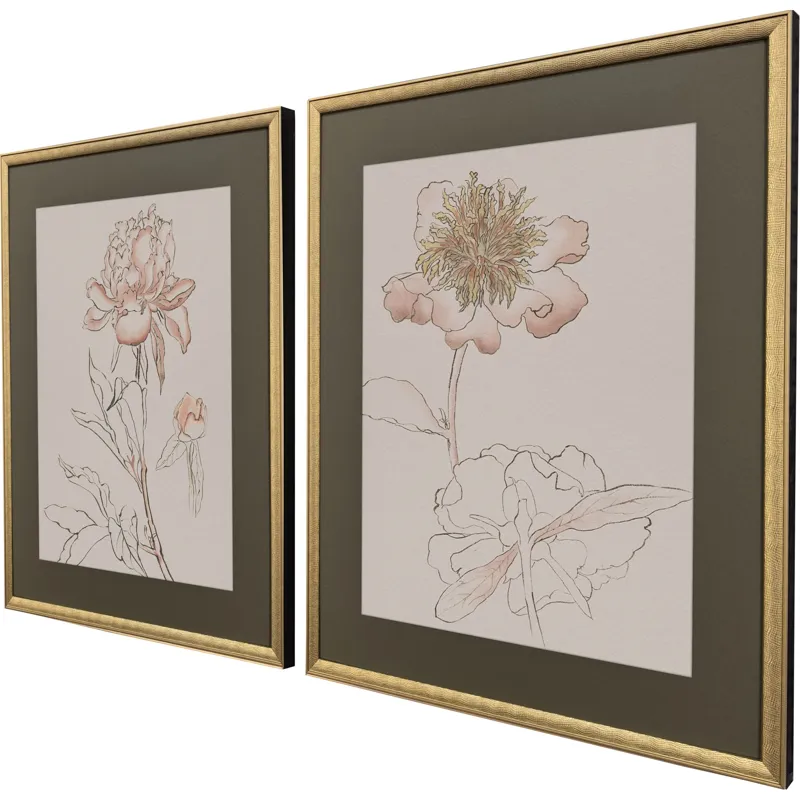 Delicate Sketch I S/2 Framed Art
