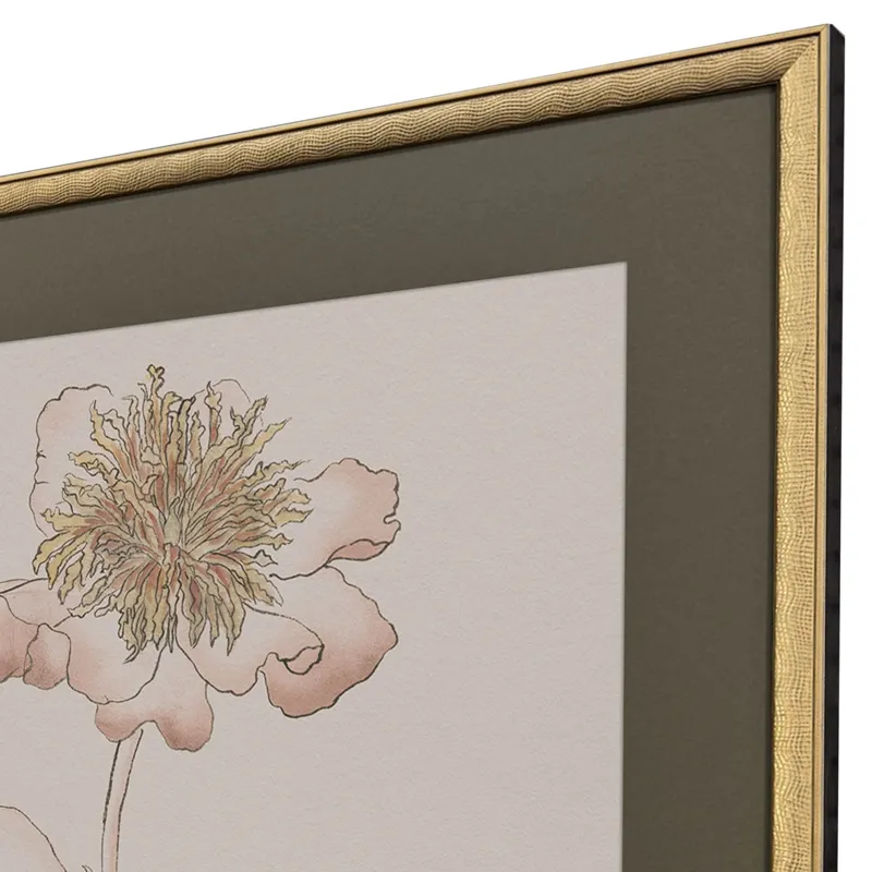 Delicate Sketch I S/2 Framed Art