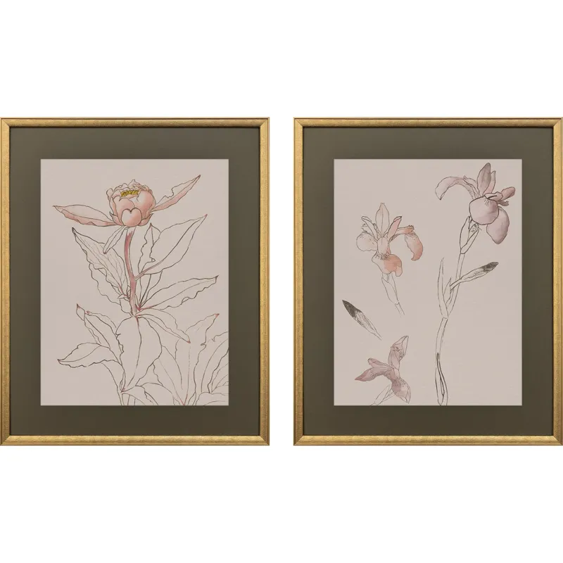 Delicate Sketch II S/2 Framed Art
