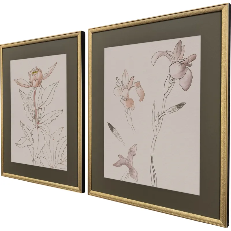 Delicate Sketch II S/2 Framed Art