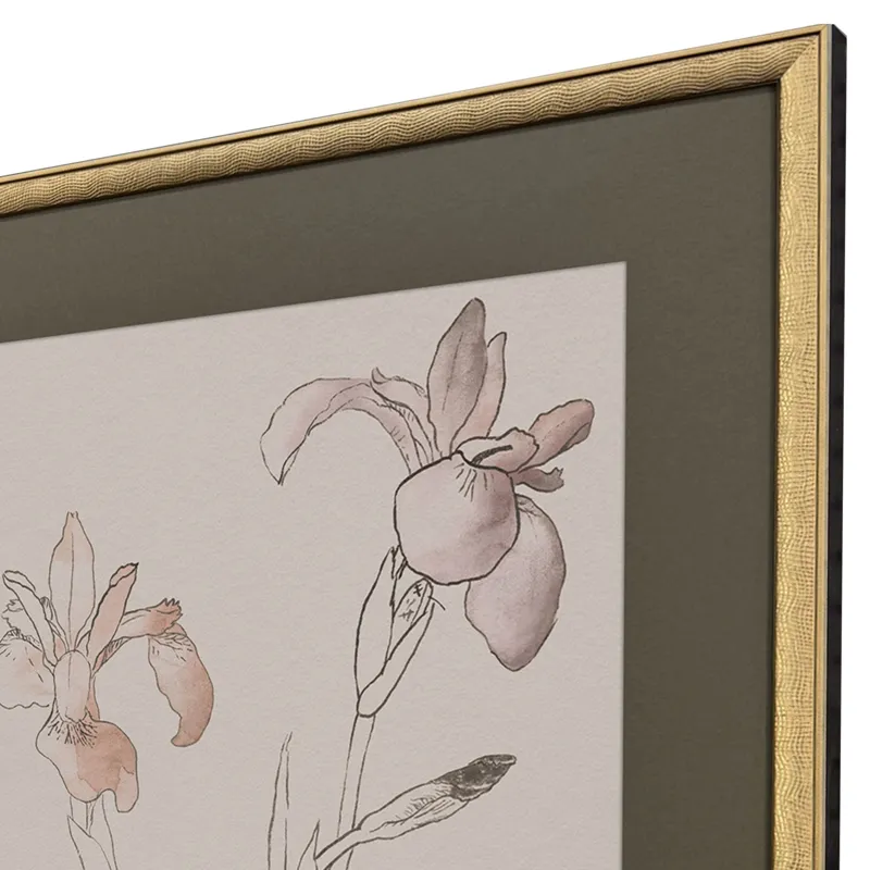 Delicate Sketch II S/2 Framed Art