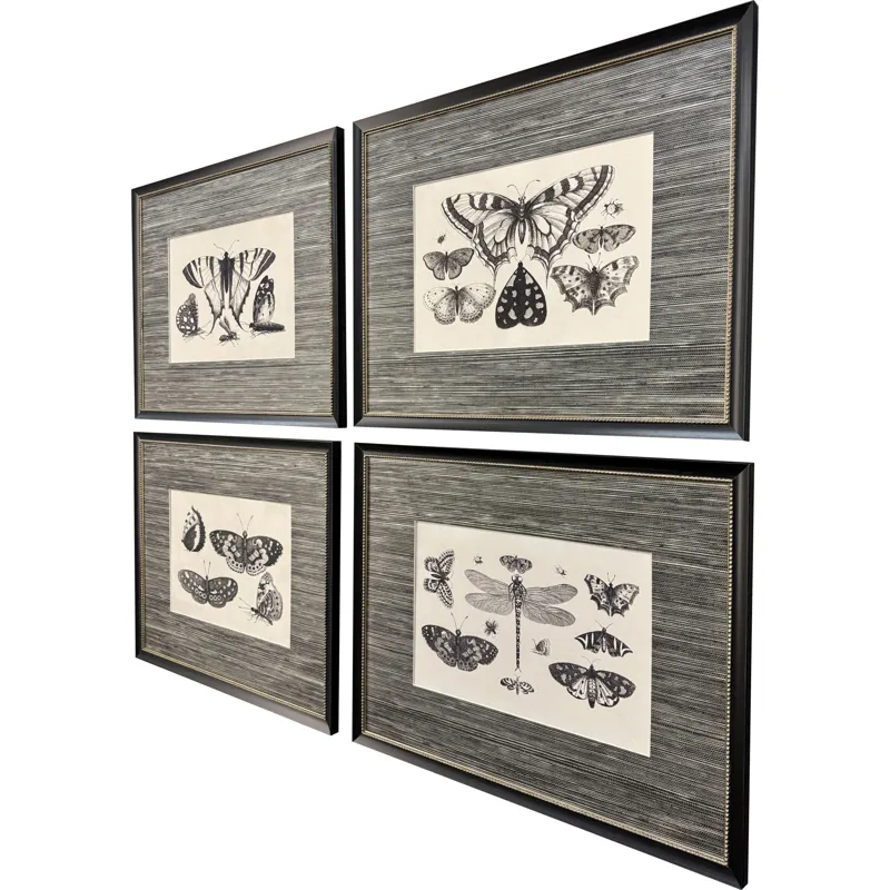 Anthropod Collection S/4 Framed Art